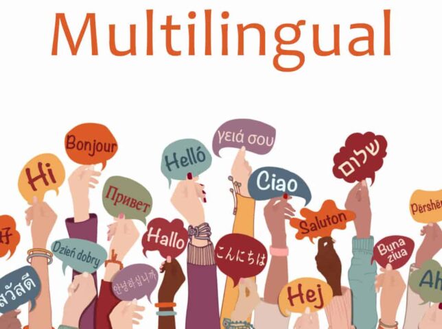 Hands in the air with holding signs with different languages